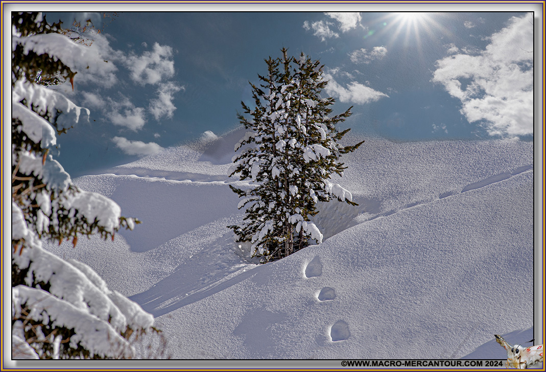 Des pas dans la neige